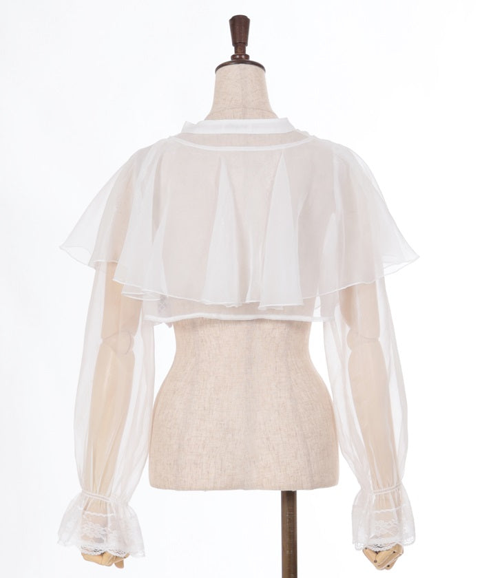 Lamé Cropped Blouse with Cape