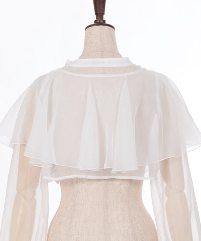 Lamé Cropped Blouse with Cape