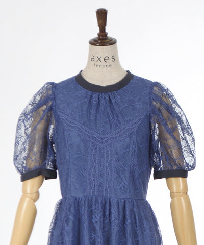 High Neck Lace Dress