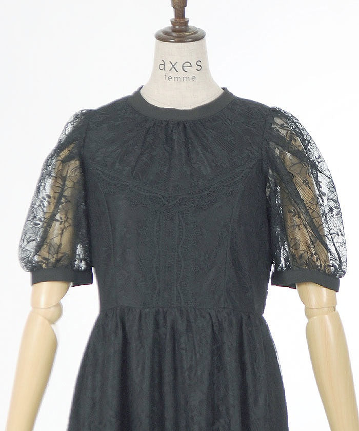 High Neck Lace Dress