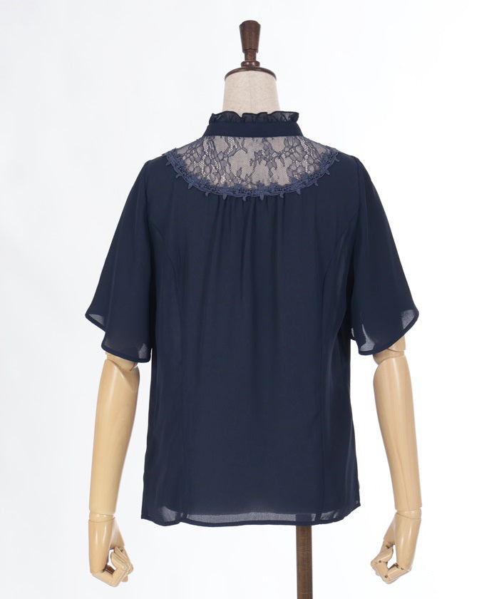 Sheer Lace Yoke Blouse