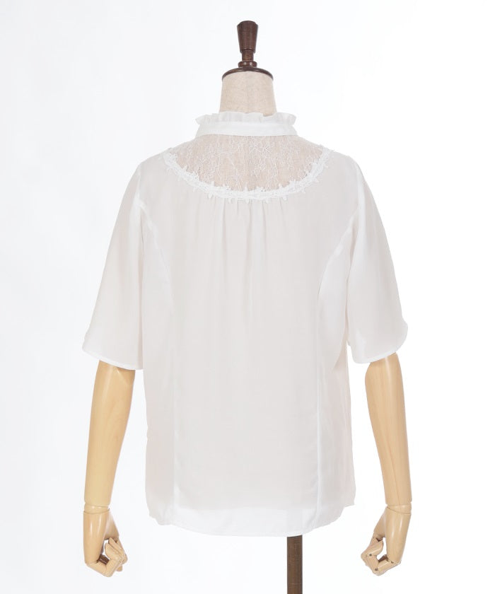 Sheer Lace Yoke Blouse