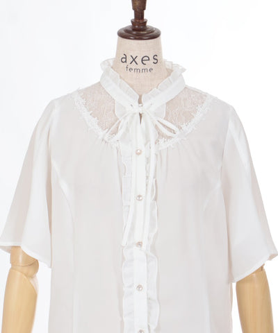 Sheer Lace Yoke Blouse