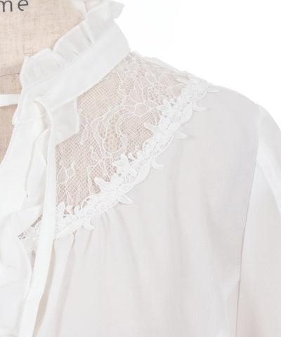 Sheer Lace Yoke Blouse