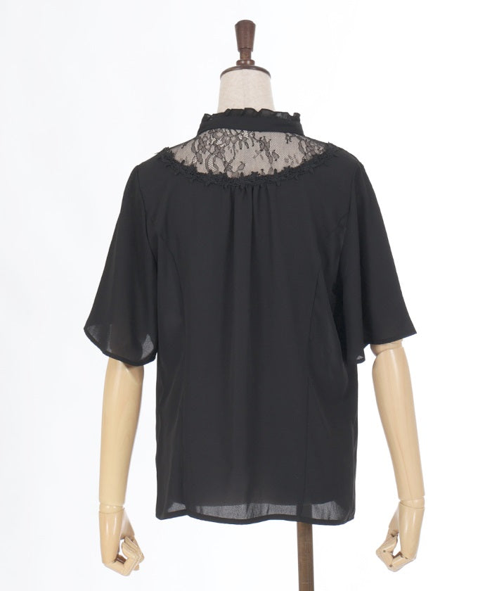 Sheer Lace Yoke Blouse