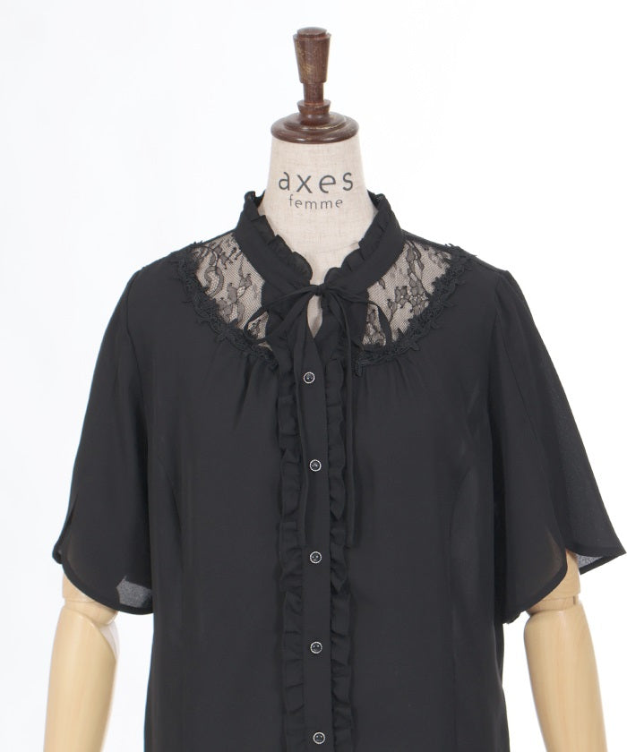 Sheer Lace Yoke Blouse