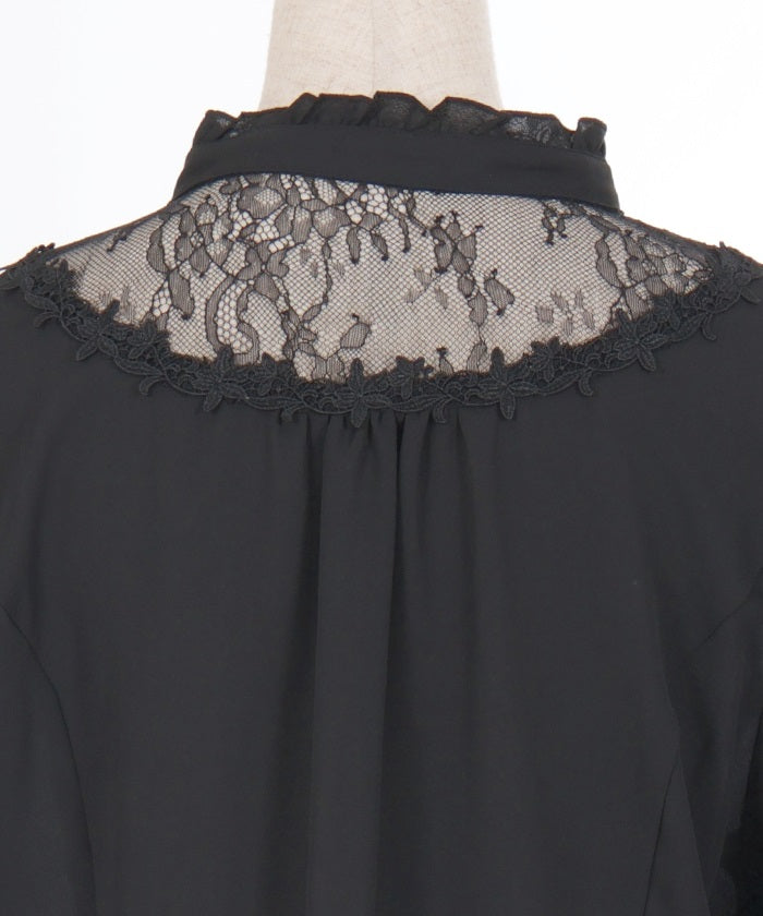 Sheer Lace Yoke Blouse