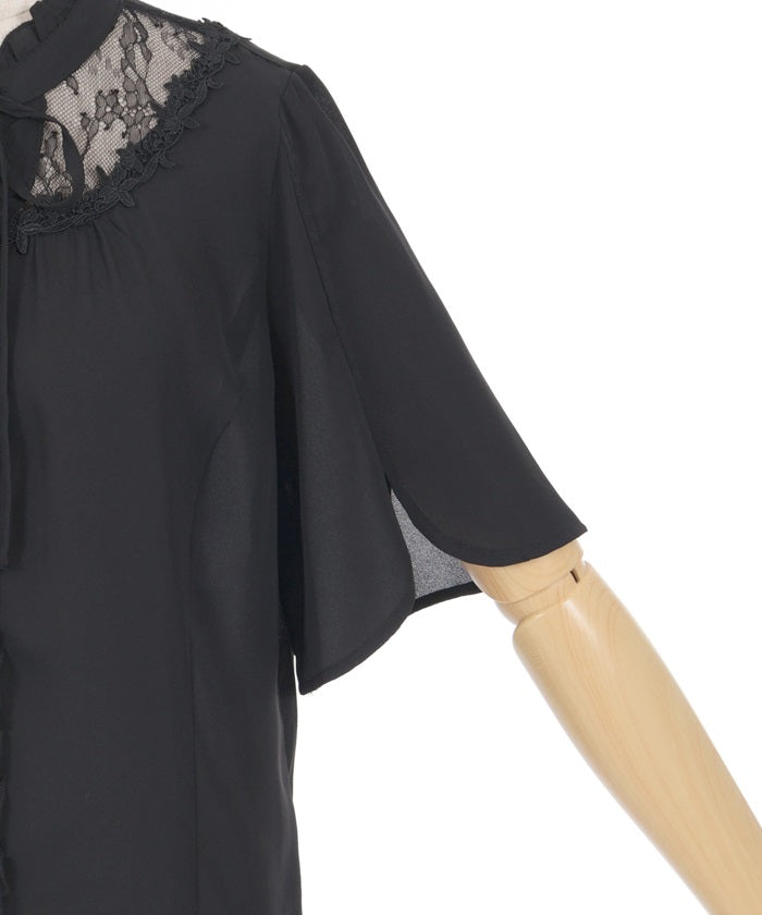 Sheer Lace Yoke Blouse