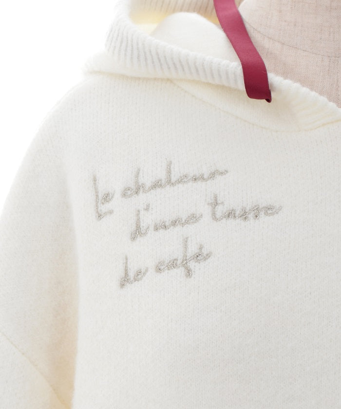 Random Embroidery Knit Hoodie