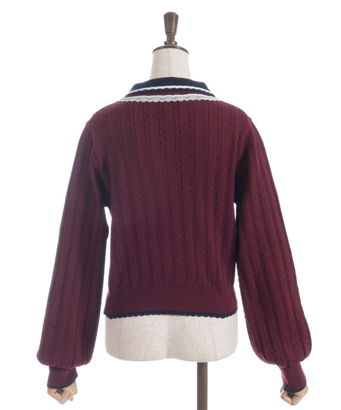 Lace & Bicolor Knit Polo