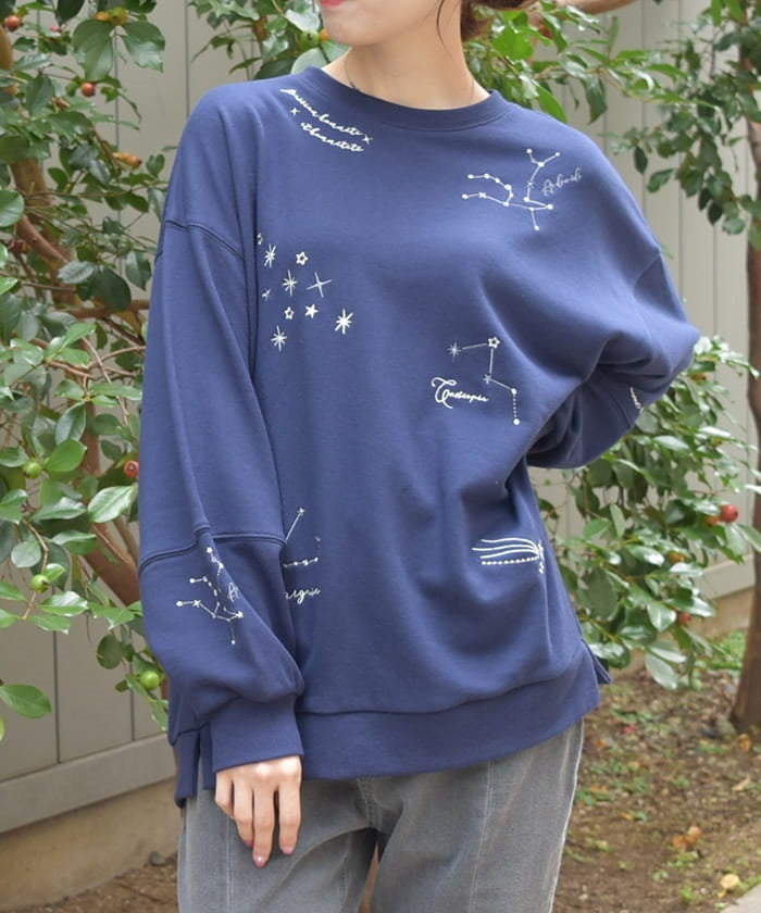 Random Constellation Embroidery Sweatshirt