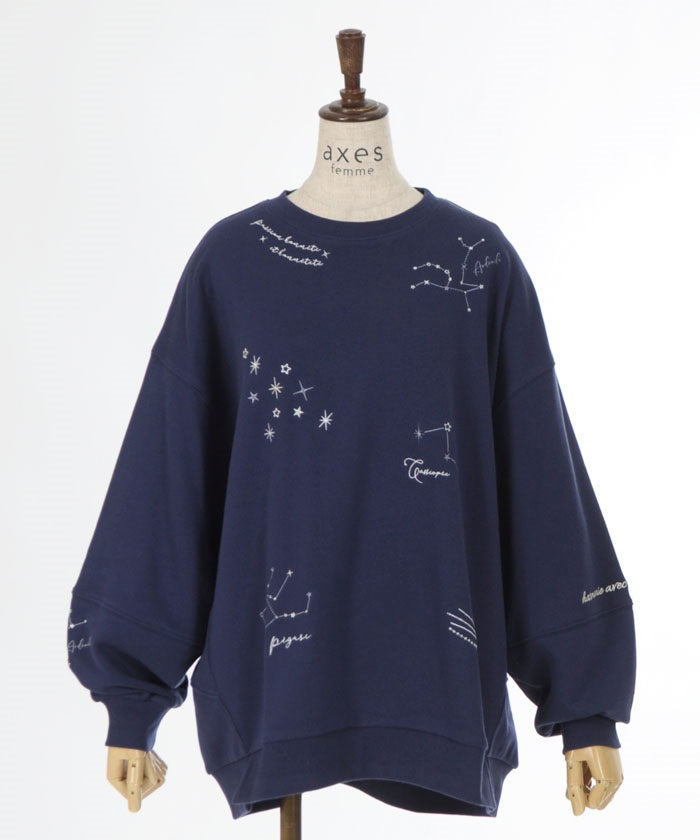 Random Constellation Embroidery Sweatshirt