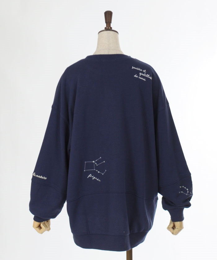 Random Constellation Embroidery Sweatshirt