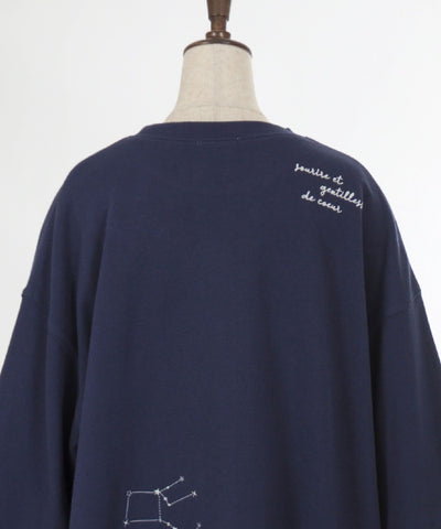 Random Constellation Embroidery Sweatshirt