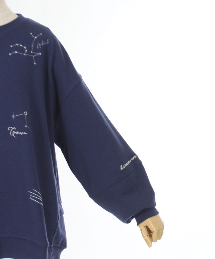 Random Constellation Embroidery Sweatshirt