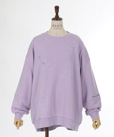 Random Constellation Embroidery Sweatshirt