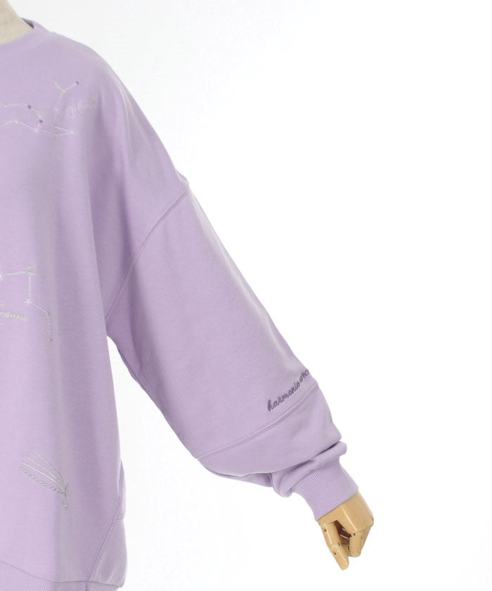 Random Constellation Embroidery Sweatshirt