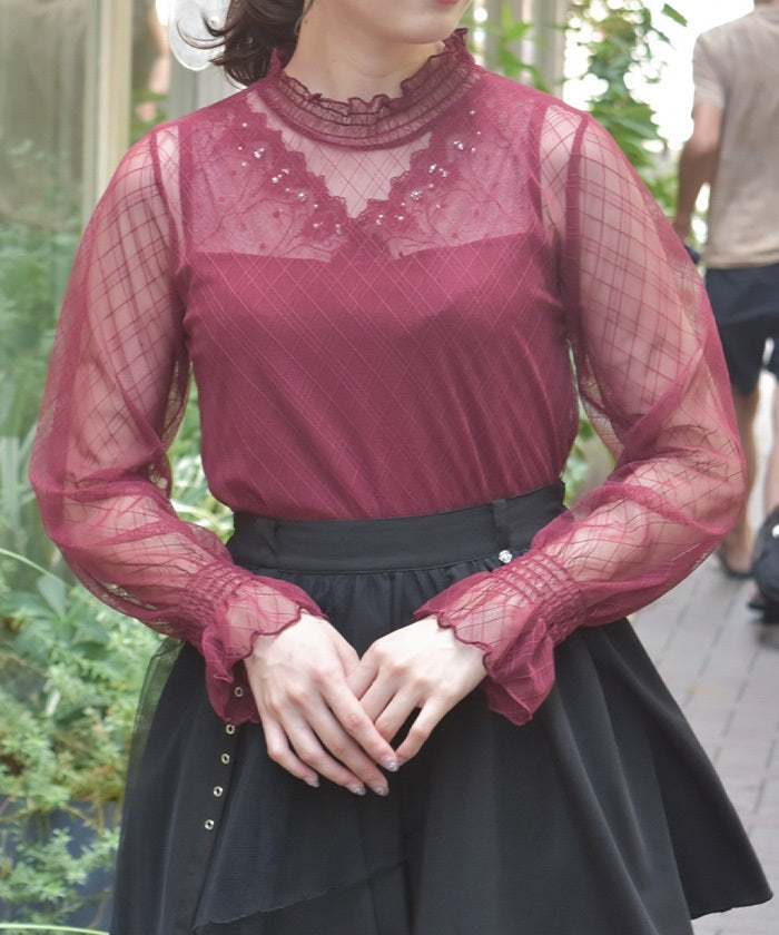 Frill Sleeve Sheer Inner