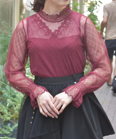 Frill Sleeve Sheer Inner