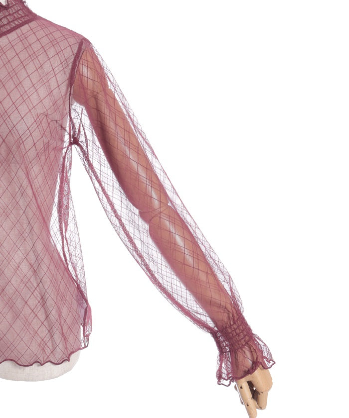 Frill Sleeve Sheer Inner