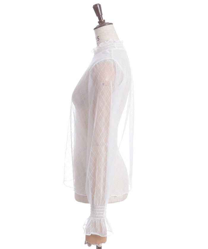 Frill Sleeve Sheer Inner