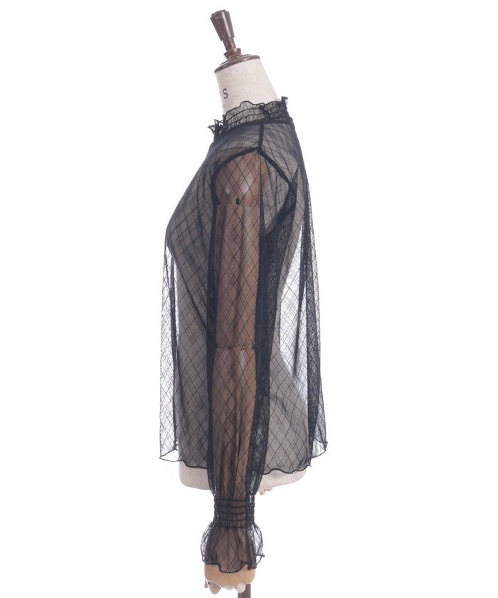 Frill Sleeve Sheer Inner