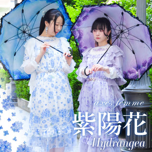 axes femme from JAPAN | Lolita Classical Romantic & Feminine J-Fashion