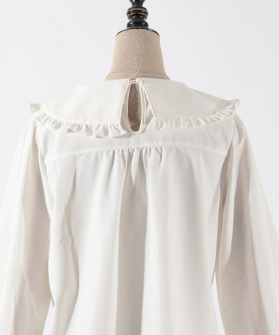 Ice Crystal Embroidery Blouse