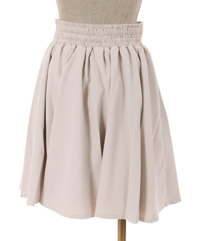 Flare Mini Skirt