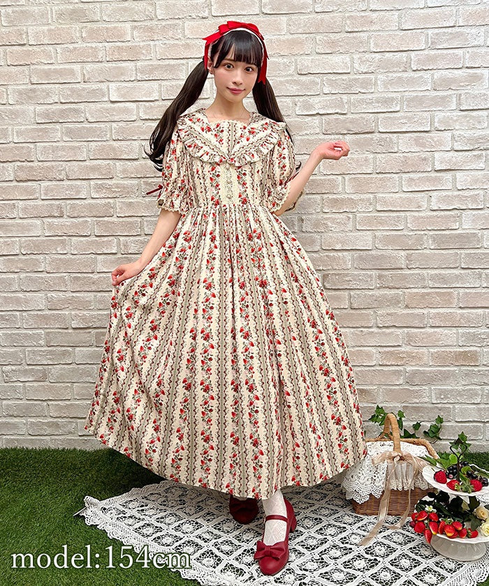 Rose Berry Garden Dress