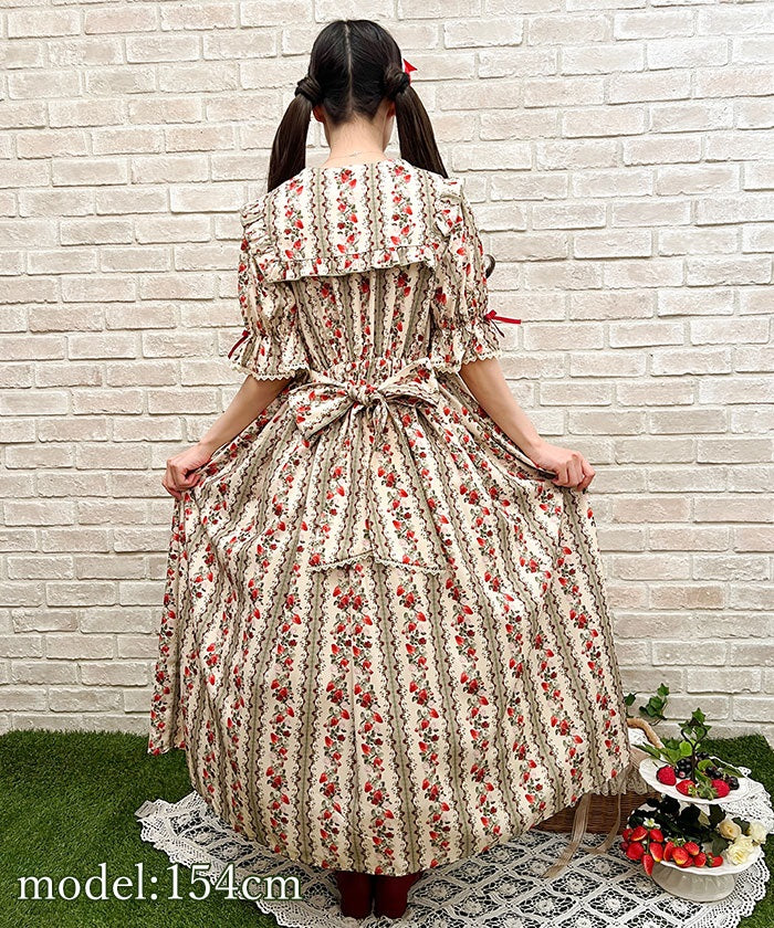 Rose Berry Garden Dress