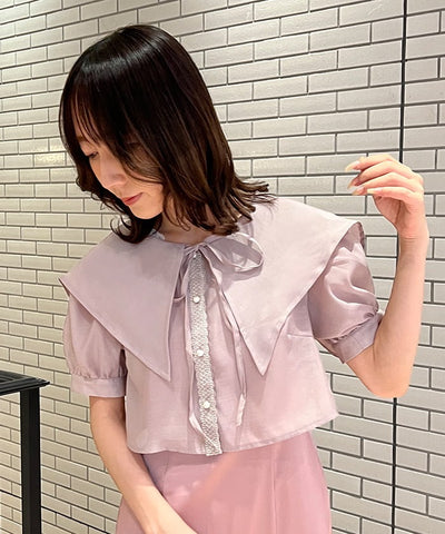 Sheer Blouse Ensemble Dress