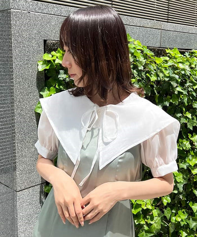Sheer Blouse Ensemble Dress
