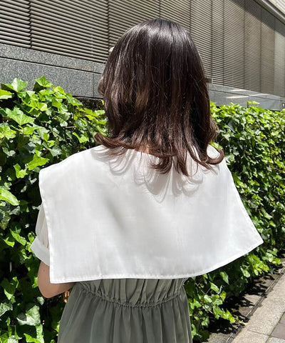 Sheer Blouse Ensemble Dress
