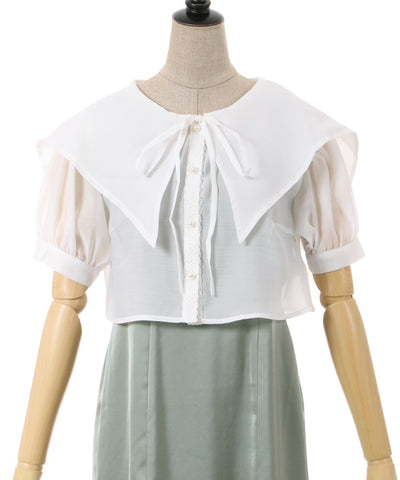 Sheer Blouse Ensemble Dress