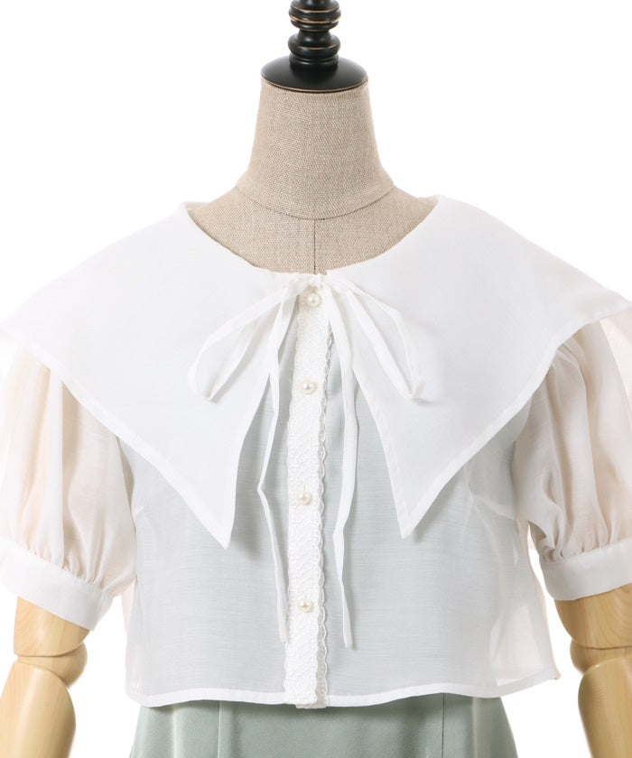 Sheer Blouse Ensemble Dress