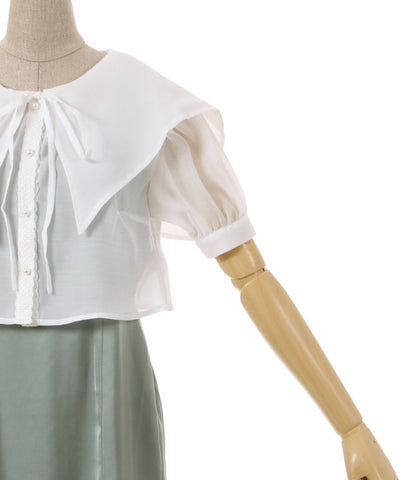 Sheer Blouse Ensemble Dress