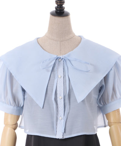 Sheer Blouse Ensemble Dress