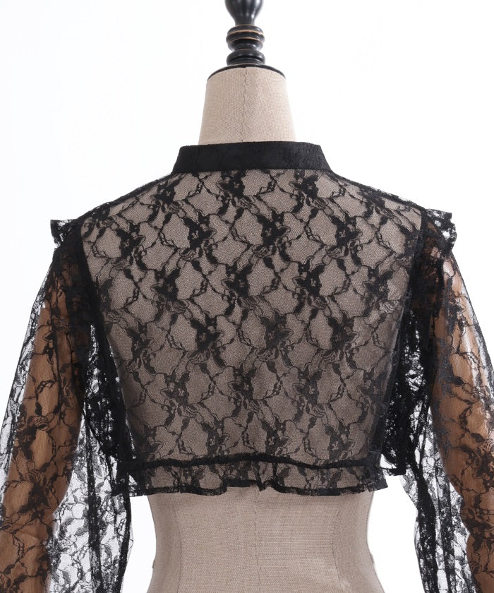 Sheer Lace Cropped Blouse