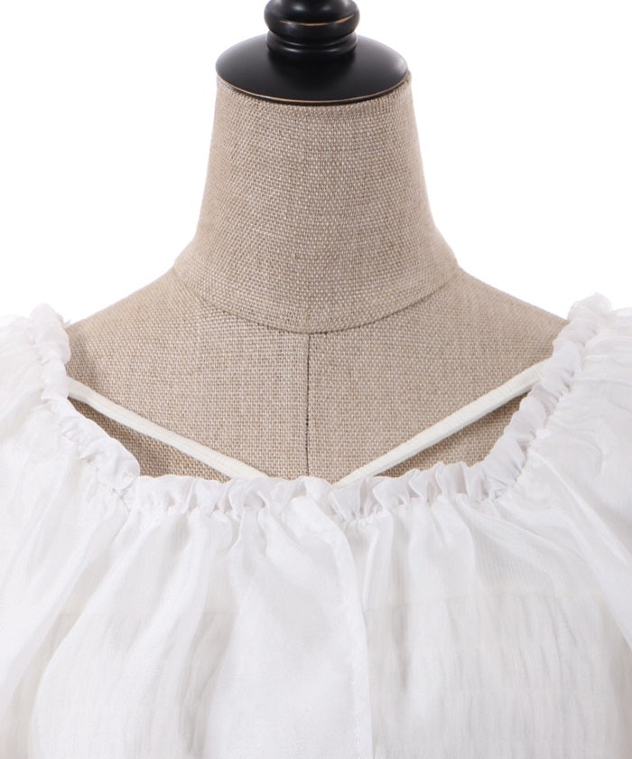 Sheer Frill Cut & Sew Pullover
