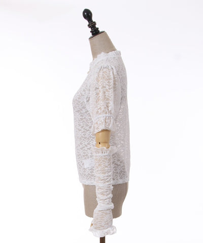 Lace Pullover with Arm Covers