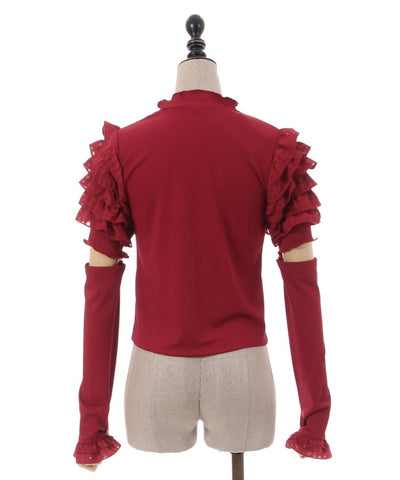 Frill Sleeve Pullover with Arm Sleeves